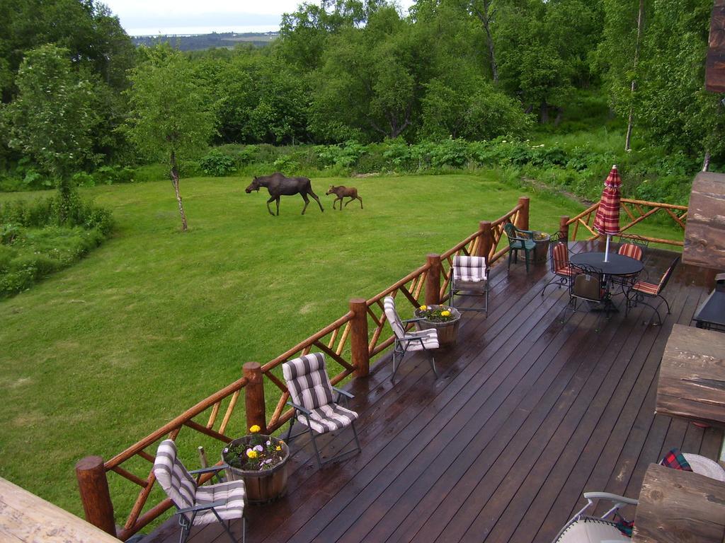 הומר Juneberry Lodge מראה חיצוני תמונה